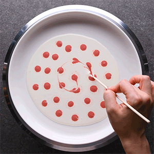 Art of Plating Η Τέχνη του στησίματος των πιάτων