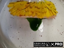 thumb_450_47.jpg 