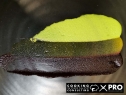 thumb_450_48.jpg 