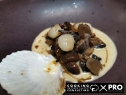 thumb_470_11.jpg 